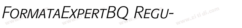 FormataExpertBQ Regu字体转换